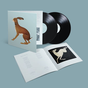 VASHTI BUNYAN - LOOKAFTERING - EXPANDED EDITION VINYL (2LP GATEFOLD + BOOKLET)