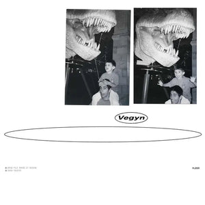 VEGYN - ONLY DIAMONDS CUT DIAMONDS VINYL (LTD. 5TH ANN. ED. 180G 2LP)