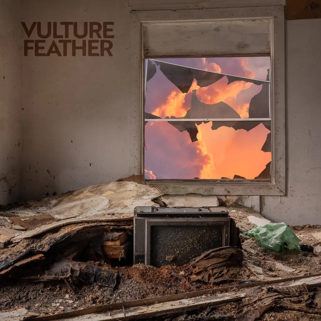 VULTURE FEATHER - IT WILL BE LIKE NOW VINYL (LTD. ED. ROSE)