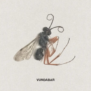 VUNDABAR - GOOD OLD VINYL RE-ISSUE (LTD. ED. CITRUS)