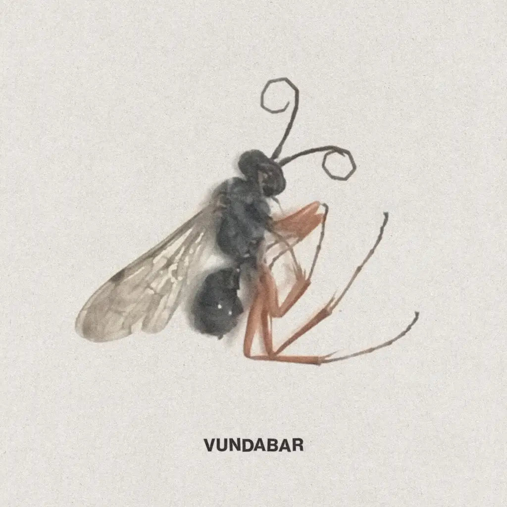 VUNDABAR - GOOD OLD VINYL RE-ISSUE (LTD. ED. CITRUS)