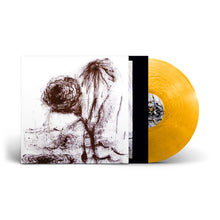 WILLIAM BASINSKI - PASSING THE CUP OF SORROWS VINYL (LTD. INDIES ED. VARIANTS)