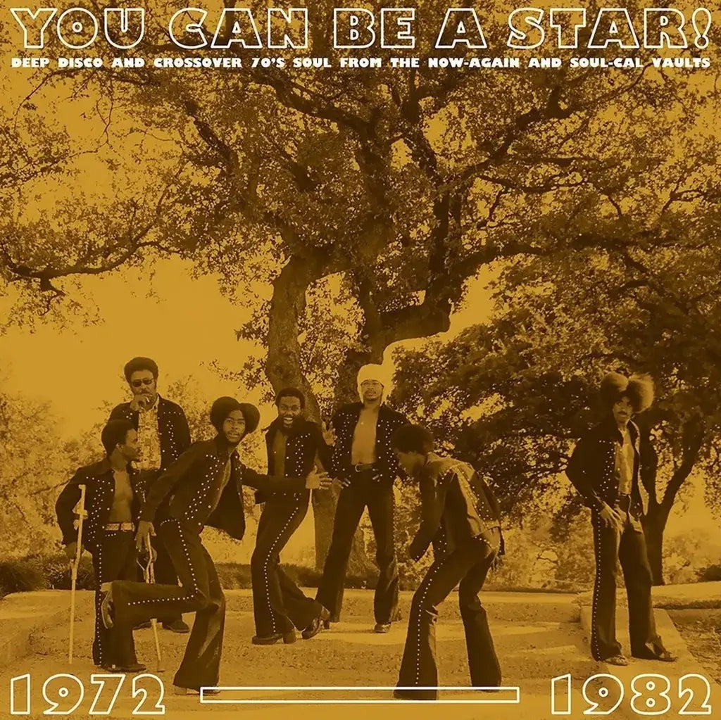 YOU CAN BE A STAR (DEEP DISCO & SOUL 1972-1982) VINYL (LP)