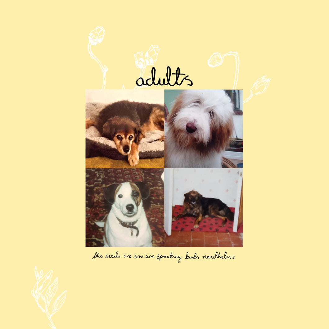 adults - the seeds we sow are sprouting buds nonetheless VINYL (LTD. ED. GREEN)