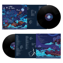 aja monet - THE COLOR OF RAIN VINYL (2LP GATEFOLD)