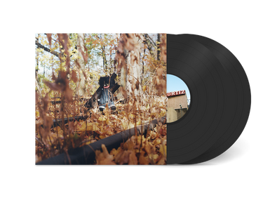 billy woods - GOLLIWOG VINYL (LTD. ED. 2LP GATEFOLD)
