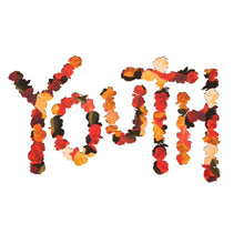 CITIZEN - YOUTH VINYL (LTD. 10TH ANN. DELUXE ED. 'FLOWER PETAL' GATEFOLD W/ DIE-CUT O-CARD SLEEVE)