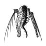 lotic-heterocetera-vinyl-ep