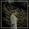 forest-swords-engravings-vinyl-2lp