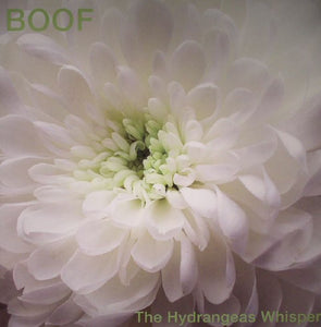 boof-the-hydrangeas-whisper-vinyl