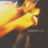 tiny-moving-parts-celebrate-vinyl