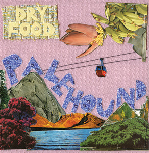 palehound-dry-food-vinyl
