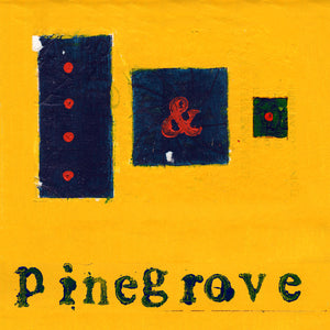 pinegrove-everything-so-far-vinyl-2lp-booklet