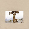 shellac-dude-incredible-vinyl