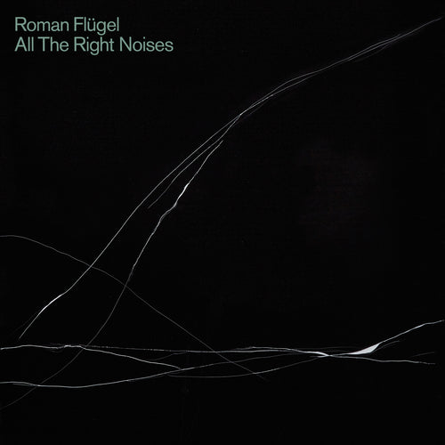 roman-flugel-all-the-right-noises-vinyl-2lp