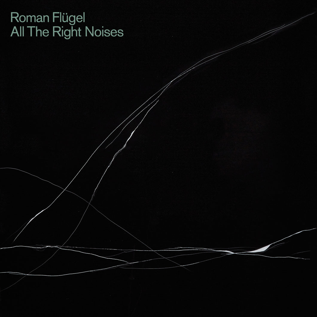 roman-flugel-all-the-right-noises-vinyl-2lp