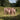 the-hotelier-goodness-vinyl-2lp