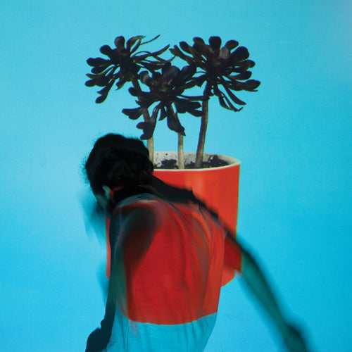 local natives sunlit youth limited edition vinyl