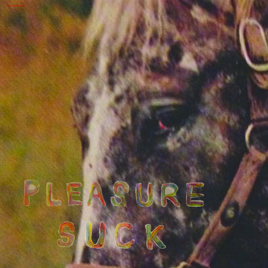 the-spirit-of-the-beehive-pleasure-sucks-vinyl-ltd-ed-black