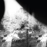 godspeed-you-black-emperor-asunder-sweet-and-other-distress-vinyl