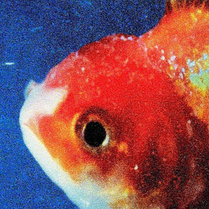 vince staples big fish theory limited edition vinyl