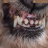 blanck-mass-world-eater-vinyl-ltd-ed-red-black-marble