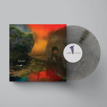 SHARON VAN ETTEN - WE'VE BEEN GOING ABOUT THIS ALL WRONG VINYL (LTD. ED. VARIANTS)