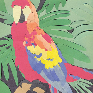 ALGERNON CADWALLADER - PARROT FLIES VINYL RE-ISSUE (LTD. ED. RED)