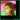 ATTIA TAYLOR - SPACE GHOST VINYL (LTD. ED. PINK)
