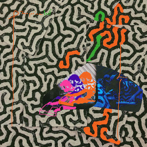 Animal Collective - Tangerine Reef limited edition vinyl