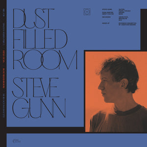 BILL FAY & STEVE GUNN - DUST FILLED ROOM VINYL (LTD. ED. 7")