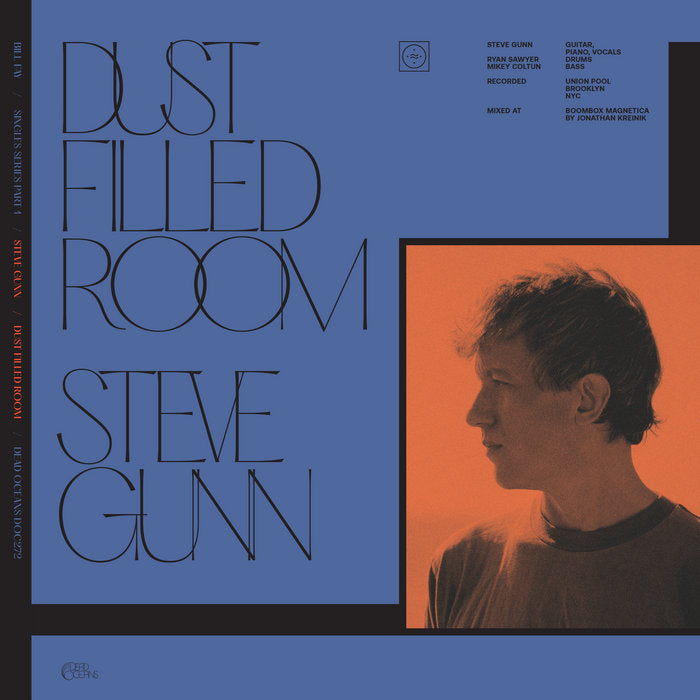 BILL FAY & STEVE GUNN - DUST FILLED ROOM VINYL (LTD. ED. 7