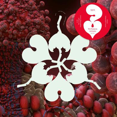 BJÖRK - OVULE (SEGA BODEGA REMIX) / ATOPOS (SIDEPROJECT REMIX) VINYL (SUPER LTD. 'RECORD STORE DAY' ED. CLEAR 12