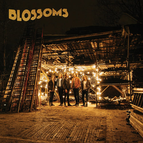 BLOSSOMS - BLOSSOMS VINYL RE-ISSUE (LTD. 'NATIONAL ALBUM DAY' ED. ORANGE GATEFOLD)