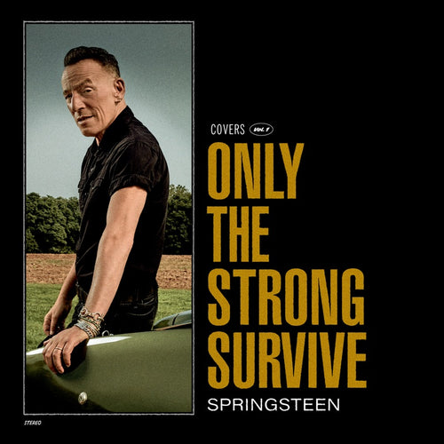 BRUCE SPRINGSTEEN - ONLY THE STRONG SURVIVE VINYL (LTD. ED. ORANGE 2LP GATEFOLD)