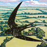 Bibio - Sleep On The Wing vinyl