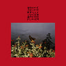 Bonnie “Prince” Billy - I Made A Place limited edition vinyl
