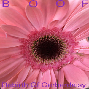 Boof - Rebirth of Gerberdaisy vinyl