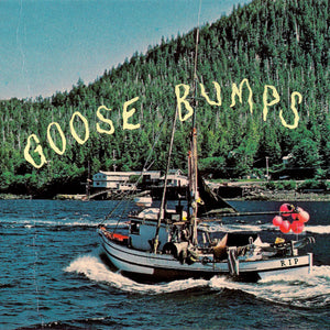 Boyscott - Goose Bumps limited edition vinyl