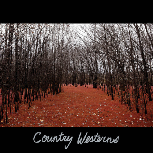 Country Westerns - Country Westerns vinyl