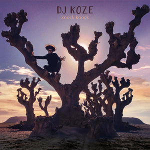 DJ Koze Knock Knock limited edition vinyl