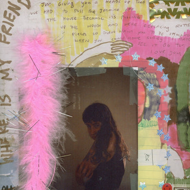 WEDNESDAY - I WAS TRYING TO DESCRIBE YOU TO SOMEONE VINYL RE-ISSUE (LTD. ED. LP)