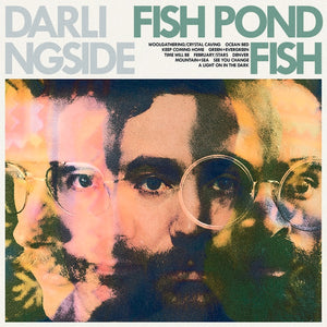 Darlingside - Fish Pond Fish limited edition vinyl