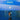 donovan wolfington waves limited edition vinyl