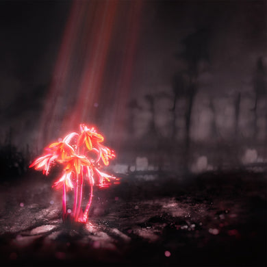 ENTER SHIKARI - A KISS FOR THE WHOLE WORLD VINYL (LTD. ED. PINK SPARKLE)