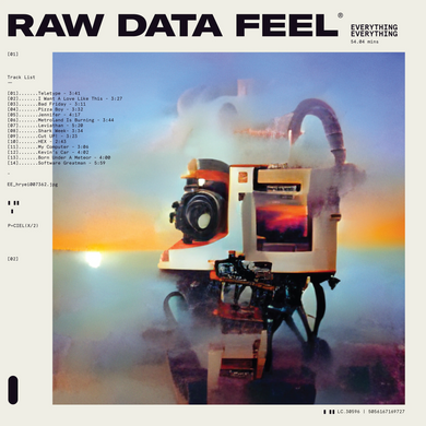 EVERYTHING EVERYTHING - RAW DATA FEEL VINYL (LTD. ED. PINK)