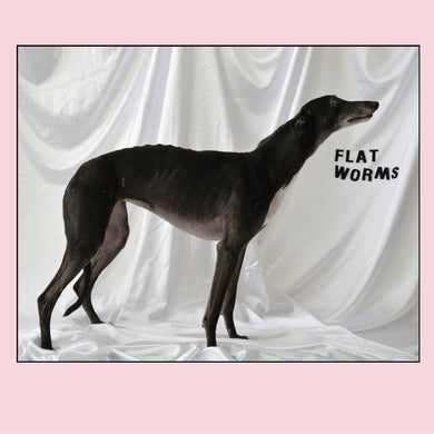 FLAT WORMS - FLAT WORMS VINYL RE-PRESS (SUPER LTD. ED. BLACK GALAXY IN PINK)