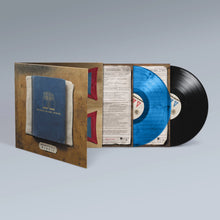 FRIGHTENED RABBIT - PEDESTRIAN VERSE VINYL (SUPER LTD. 10TH ANN. ED. VARIANTS)