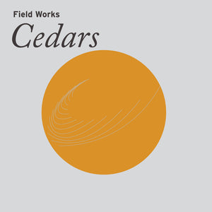 Field Works – Cedars vinyl + comic book