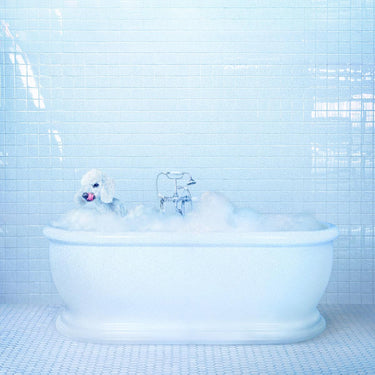frankie cosmos vessel limited edition blue vinyl